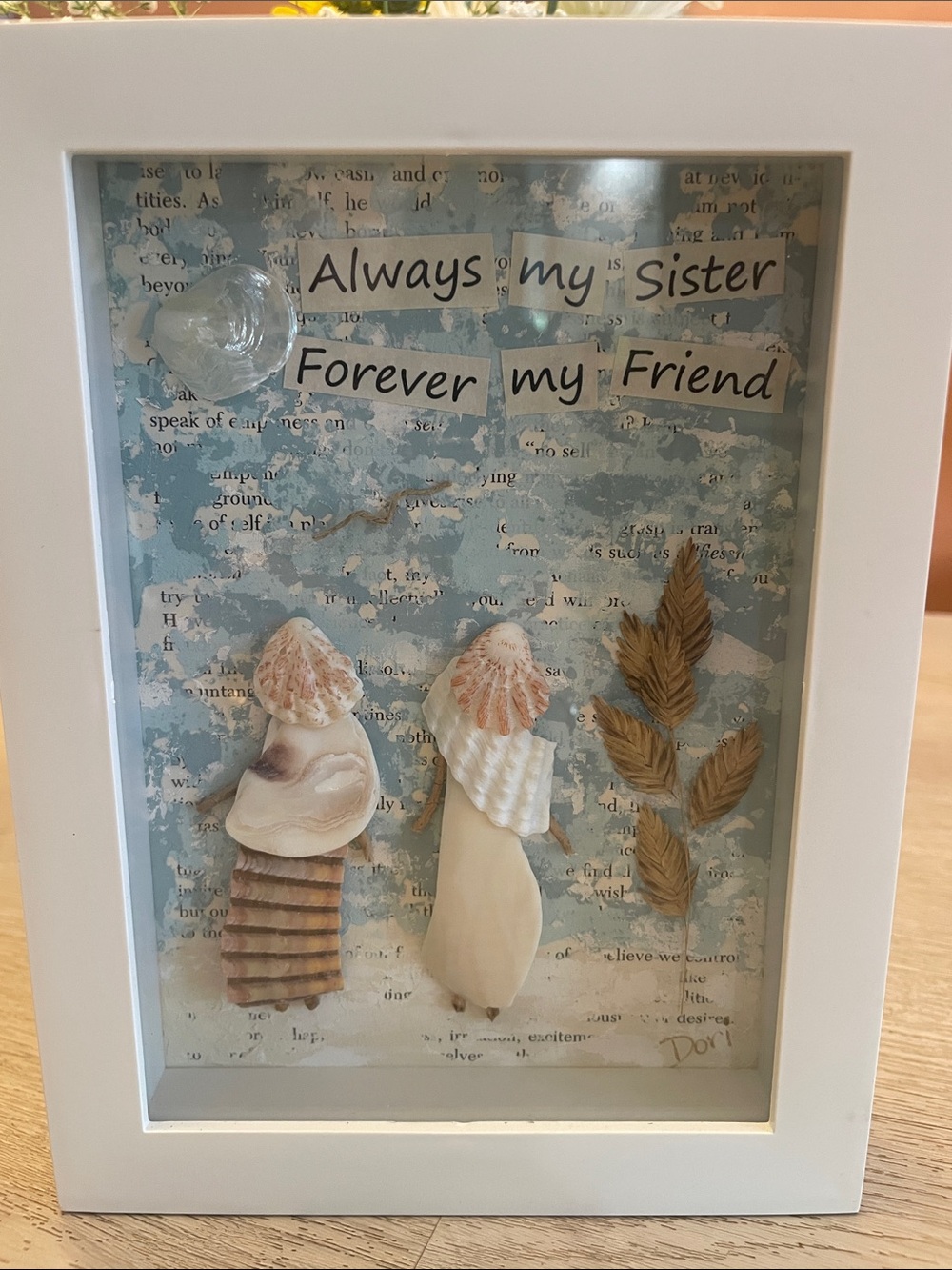 Seashell Framed Art